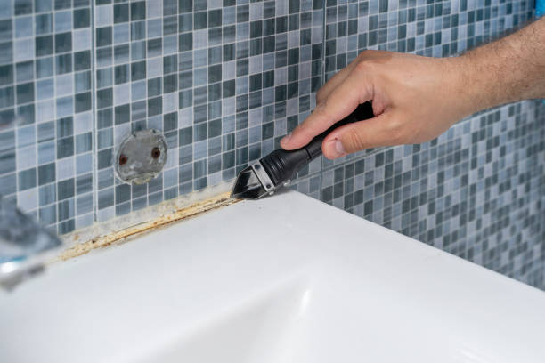 Best Kitchen Mold Remediation in Charlotte, TX